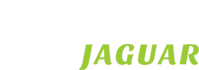 footer logo Jaguar MIĘDZYNARODOWY PRZEWÓZ OSÓB